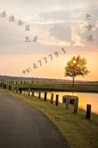 2024新澳门天天开好彩大全49|高效解答解释落实_R品.9.979