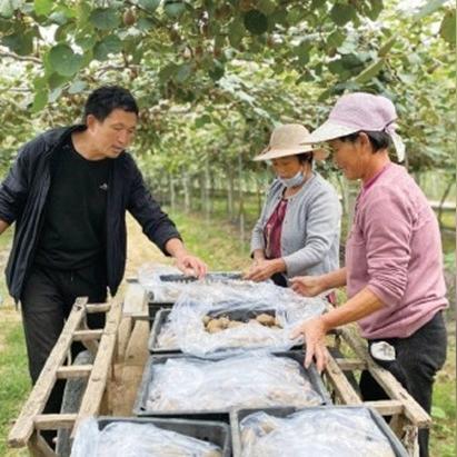 (大大的小小农场是真实的吗)小小大农场：免费畅玩，告别烦人广告，享受纯净农场生活
